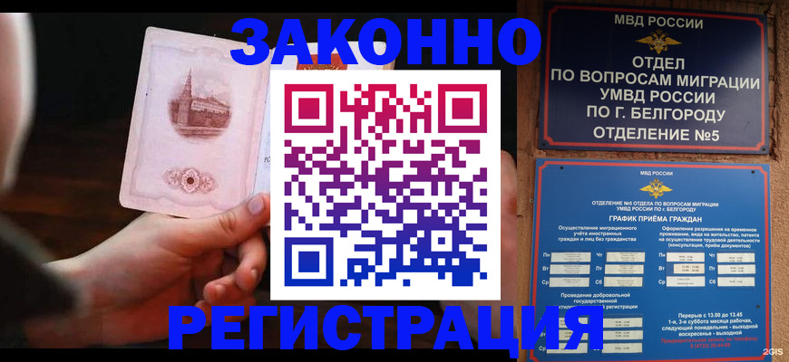 прописка 2025 в Михайлове